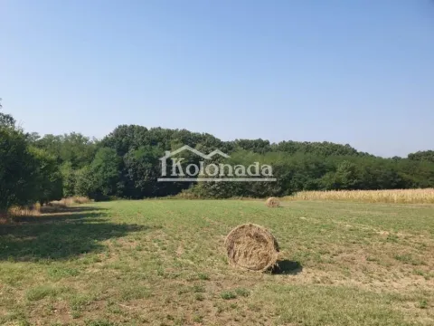 Prodaja, plac, 2563m², Nemenikuće, Sopot - image 6