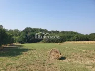 Prodaja, plac, Nemenikuće, Sopot - image 6