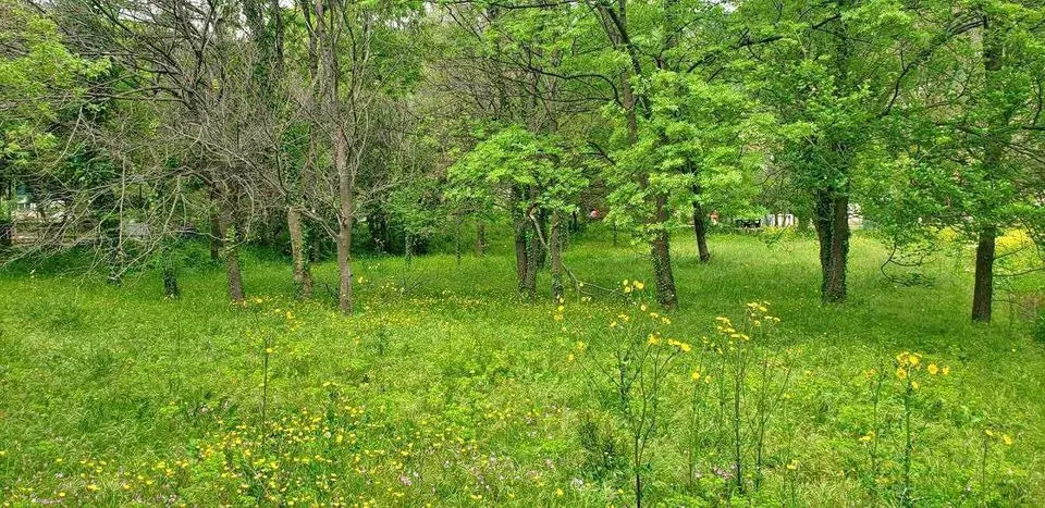 Prodaja, plac, 749m², Petrovac, Budva