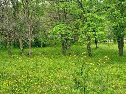 Zemljište in Petrovac