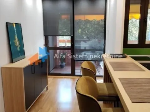 Izdavanje, stan, 46m², Višnjička Banja, Palilula Sve Podlokacije - image 4