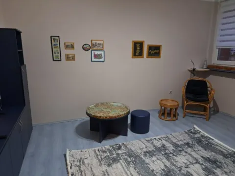 Izdavanje, dvosoban stan, 37m², Novi Beograd Blok 1 Fontana, Novi Beograd Sve Podlokacije - image 8