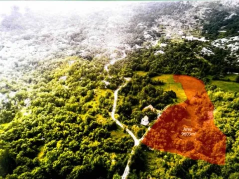 Sale, land lot, 9603m², Njeguši, Cetinje - image 7