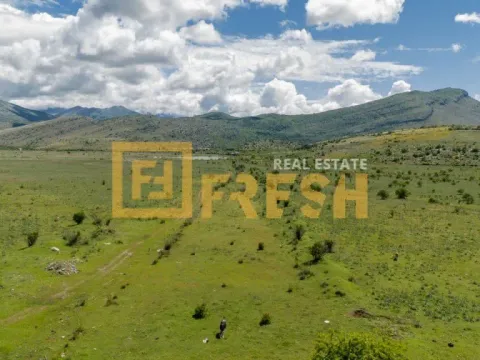 Prodaja, plac, 116000m², Tuzi, Podgorica