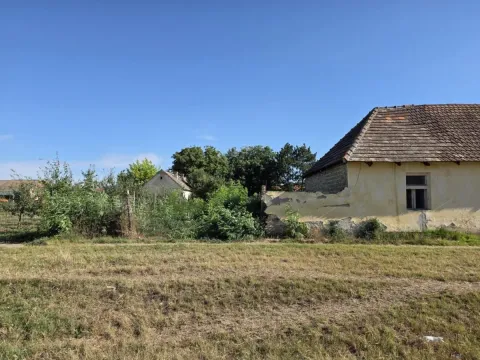 Prodaja, kuća, 130m², Titel, Novi Sad - image 5