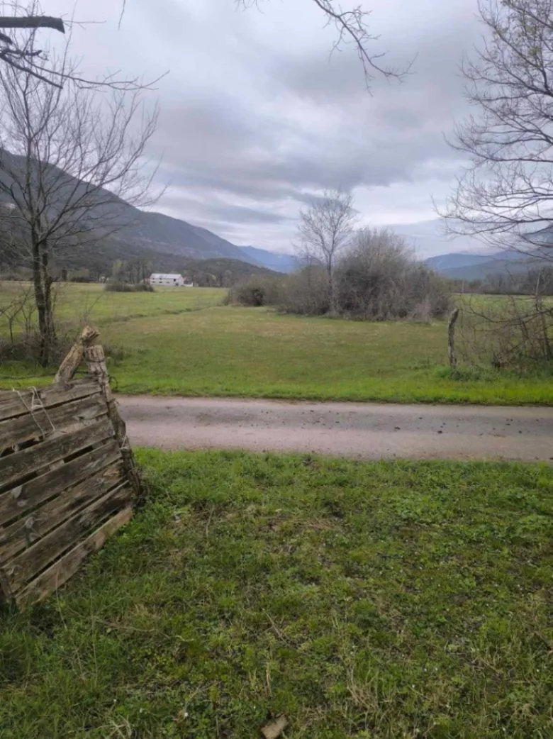 Prodaja, plac, 4000m², Kujava, Danilovgrad