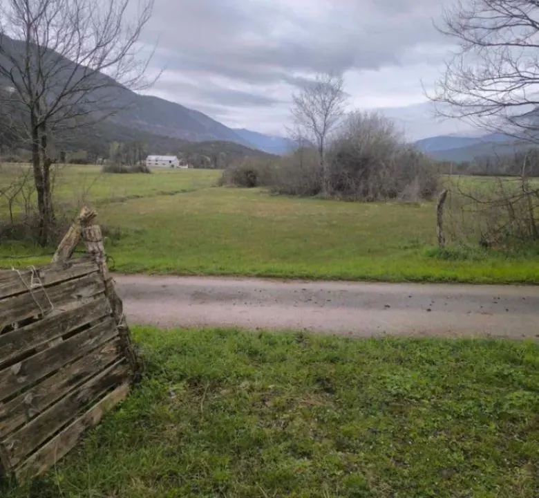 Sale, land lot, 4000m², Kujava, Danilovgrad