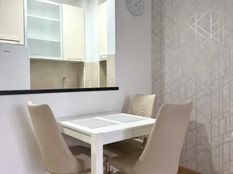 Rent, two bedroom apartment, 50m², Grbavica, Novi Sad Sve Podlokacije - image 12