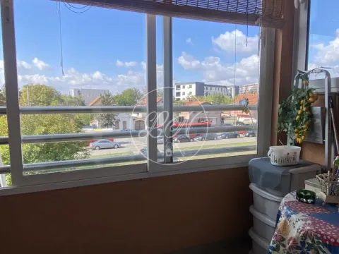 Sale, one bedroom apartment, 33m², Zemun Gornji Grad, Zemun Sve Podlokacije - image 15