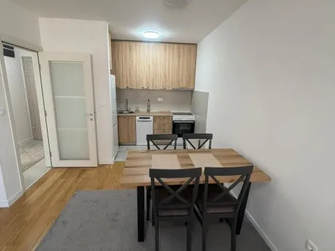 Izdavanje, jednosoban stan, 50m², Central Point, Podgorica - image 6