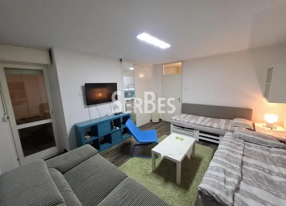 Izdavanje, jednosoban stan, 40m², Liman 4, Novi Sad Sve Podlokacije