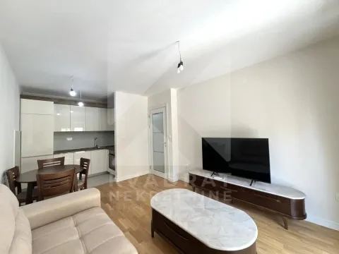 Izdavanje, jednosoban stan, 42m², Tuški Put, Podgorica - image 2
