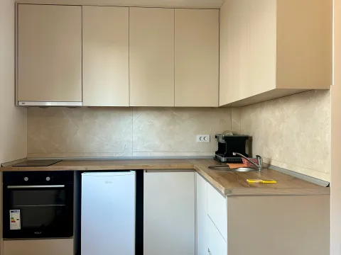 Daily-rent, one bedroom apartment, 20m², Zabjelo, Podgorica - image 7