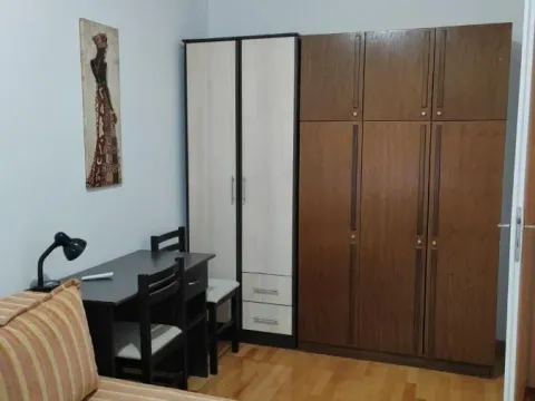 Izdavanje, dvosoban stan, 50m², Detelinara, Novi Sad Sve Podlokacije - image 11