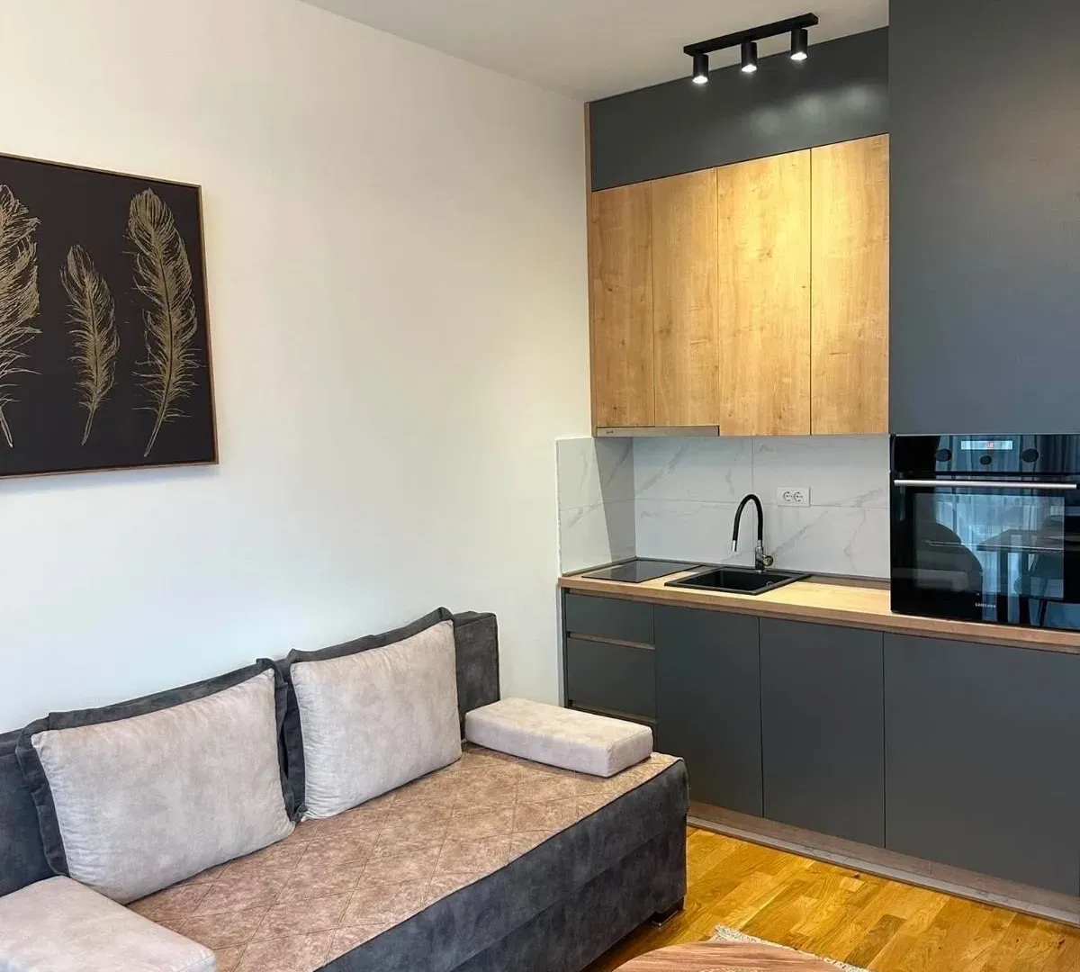 Rent, studio apartment, 29m², Zabjelo, Podgorica