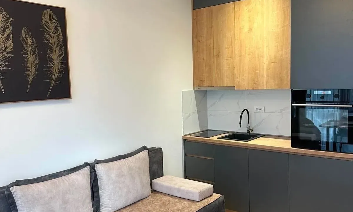 Rent, studio apartment, 29m², Zabjelo, Podgorica