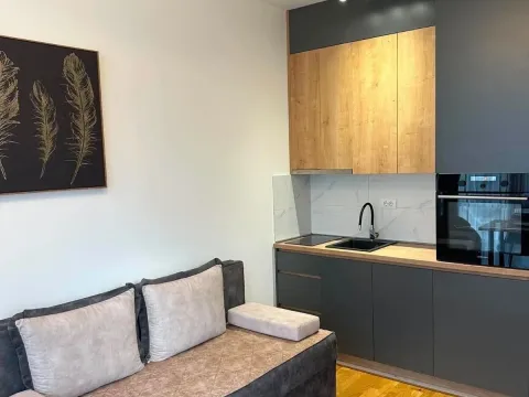 Rent, studio apartment, 29m², Zabjelo, Podgorica - image 1