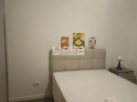 Izdavanje, dvosoban stan, 40m², Južni Bulevar, Vračar Sve Podlokacije - image 12