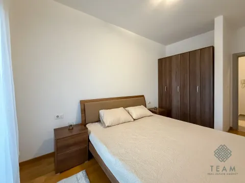 Izdavanje, jednosoban stan, 50m², Stari Aerodrom, Podgorica - image 7