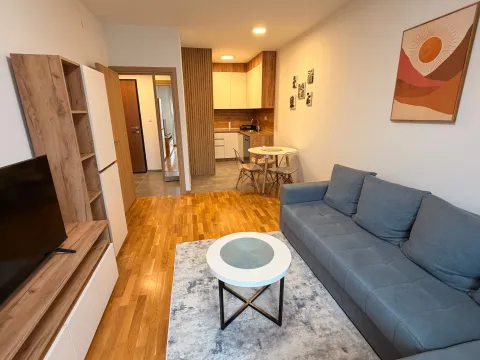 Rent, one bedroom apartment, 40m², Centar, Cetinje - image 7