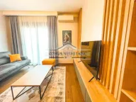 Izdavanje, jednosoban stan, 48m², Ljubović, Podgorica - image 2