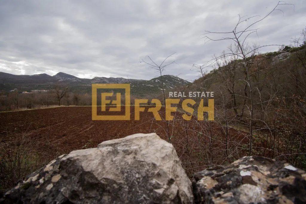 Prodaja, plac, 1566m², Ostalo, Podgorica