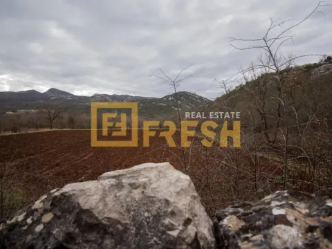 Prodaja, plac, 1566m², Ostalo, Podgorica - image 6