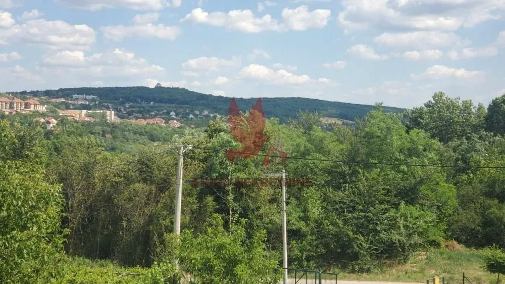 Prodaja, kuća, 280m², Centar, Topola