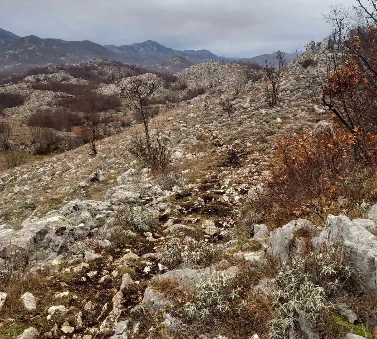 Prodaja, plac, 128000m², Cetinje, Crna Gora