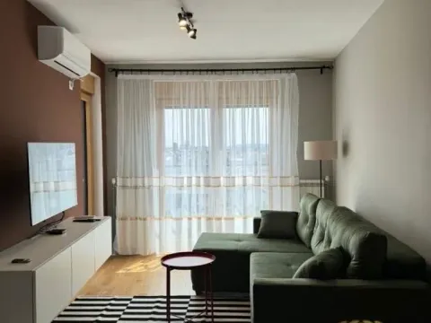 Izdavanje, jednosoban stan, 60m², Zemun Sve Podlokacije, Beograd - image 2