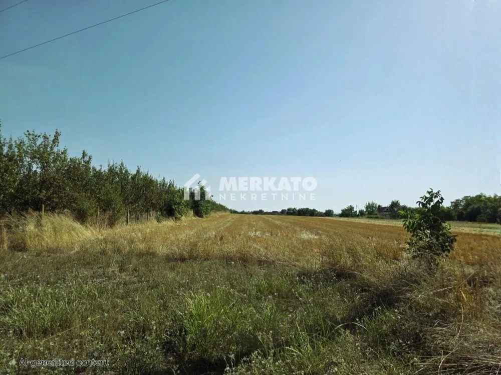 Prodaja, plac, 3100m², Bagljaš, Zrenjanin