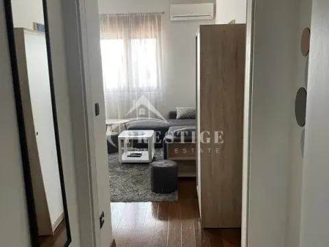 Izdavanje, garsonjera, 25m², Ljubović, Podgorica - image 4