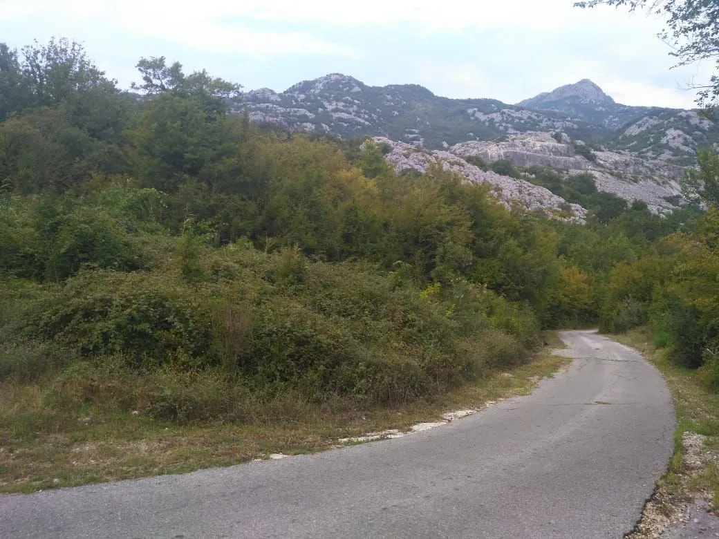 Prodaja, plac, 2597m², Bar, Crna Gora