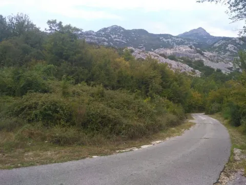 Prodaja, plac, 2597m², Bar, Crna Gora - image 2