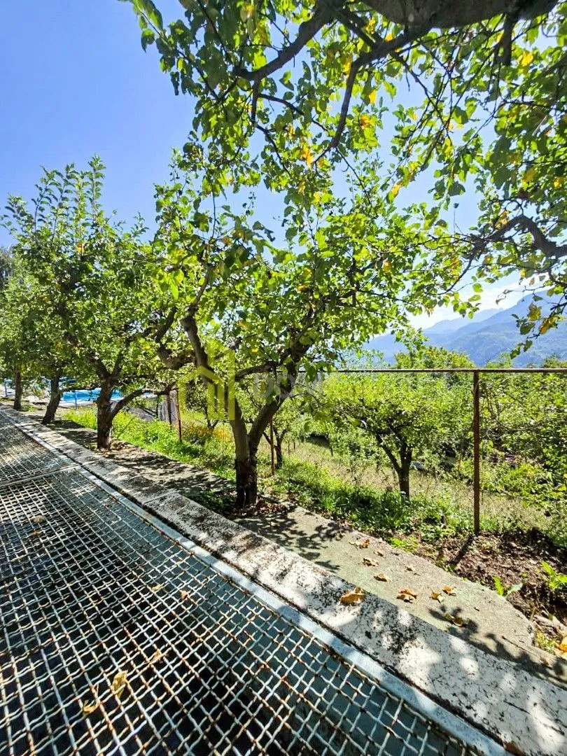 Prodaja, plac, 10000m², Kolašin, Crna Gora