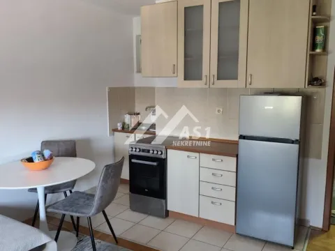 Izdavanje, dvosoban stan, 45m², Nova Detelinara, Novi Sad Sve Podlokacije - image 3