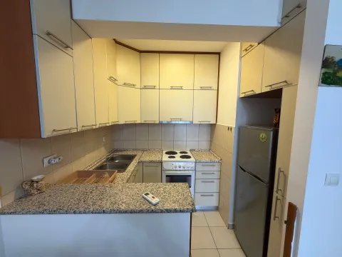 Izdavanje, jednosoban stan, 55m², Zabjelo, Podgorica - image 8