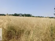 Prodaja, plac, 90m², Konatice, Obrenovac - image 6