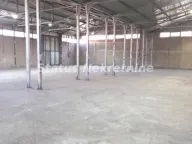 Izdavanje, poslovni prostor, 700m², Veternik, Novi Sad Sve Podlokacije - image 2