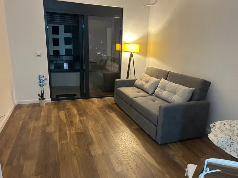 Sale, studio apartment, 26m², Ulcinjsko Polje, Ulcinj - image 16