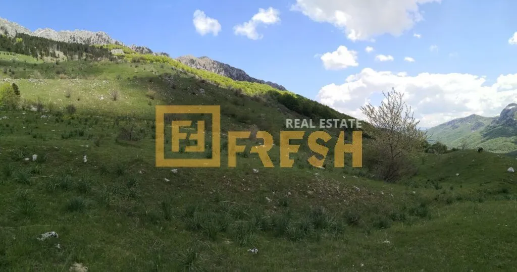 Prodaja, plac, 32000m², Kolašin, Crna Gora