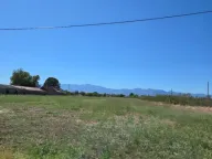 Prodaja, plac, 7000m², Zeta, Podgorica - image 3