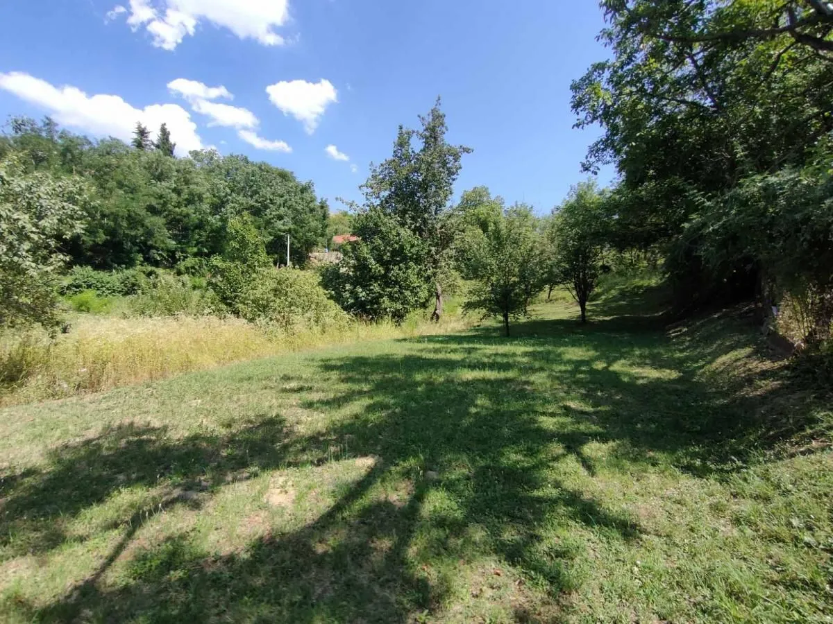 Prodaja, plac, 1500m², Sremska Kamenica, Petrovaradin