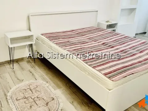 Izdavanje, dvosoban stan, 58m², Botanička Bašta, Palilula Sve Podlokacije - image 7