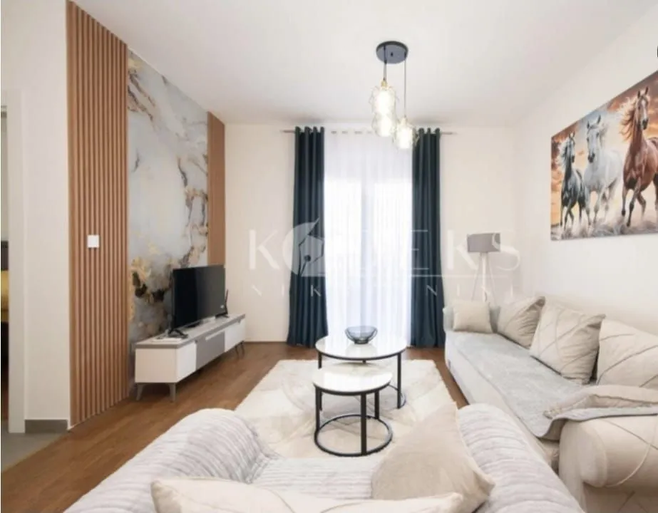 Rent, one bedroom apartment, 56m², Kod Big Fashion-a, Podgorica