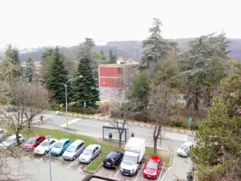 Rent, studio apartment, 12m², Kanarevo Brdo, Beograd - image 9