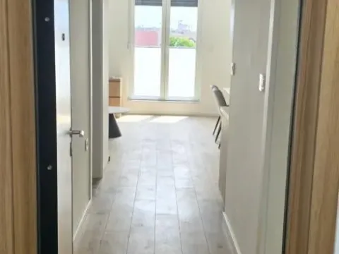 Izdavanje, jednosoban stan, 35m², Veternik, Novi Sad Sve Podlokacije - image 10