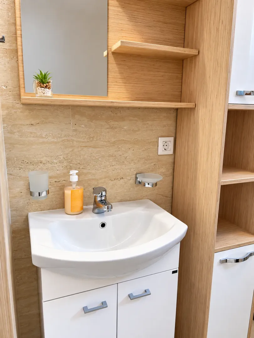 Modernly equipped bathroom with a washbasin, mirror, and wooden cabinet.