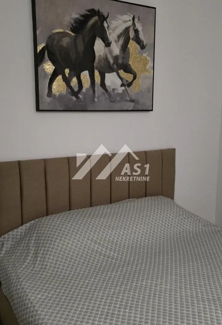 Izdavanje, dvosoban stan, 50m², Nova Pazova, Stara Pazova