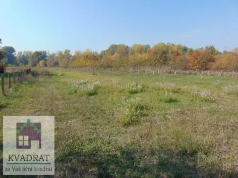 Sale, land lot, 30m², Draževac, Obrenovac